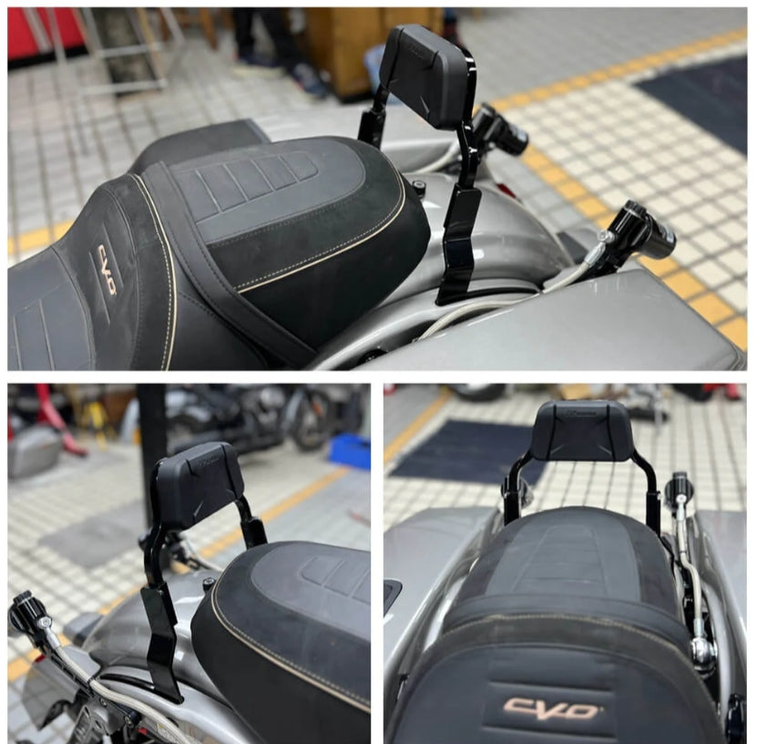 Performance Bagger Passenger Backrests Low profile Fixed Sissy Bar Kit For Harley Touring Road King Road Glide Electra Street Glide ST CVO FLHR FLHT FLTRXS 2014-2025
